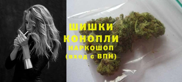крисы Осинники