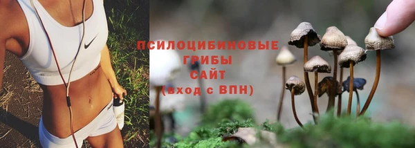 кокс Нягань