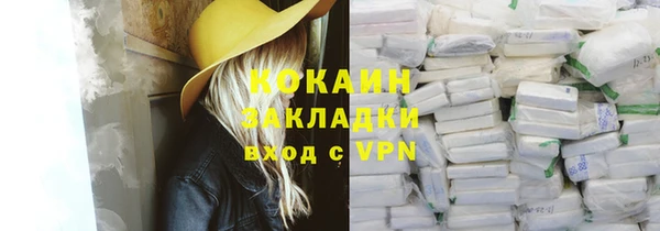 крисы Осинники