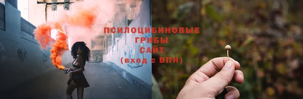 прущая мука Няндома
