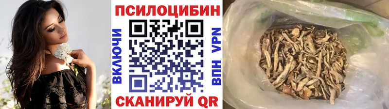Галлюциногенные грибы Psilocybine cubensis  купить   даркнет клад  Грязи 