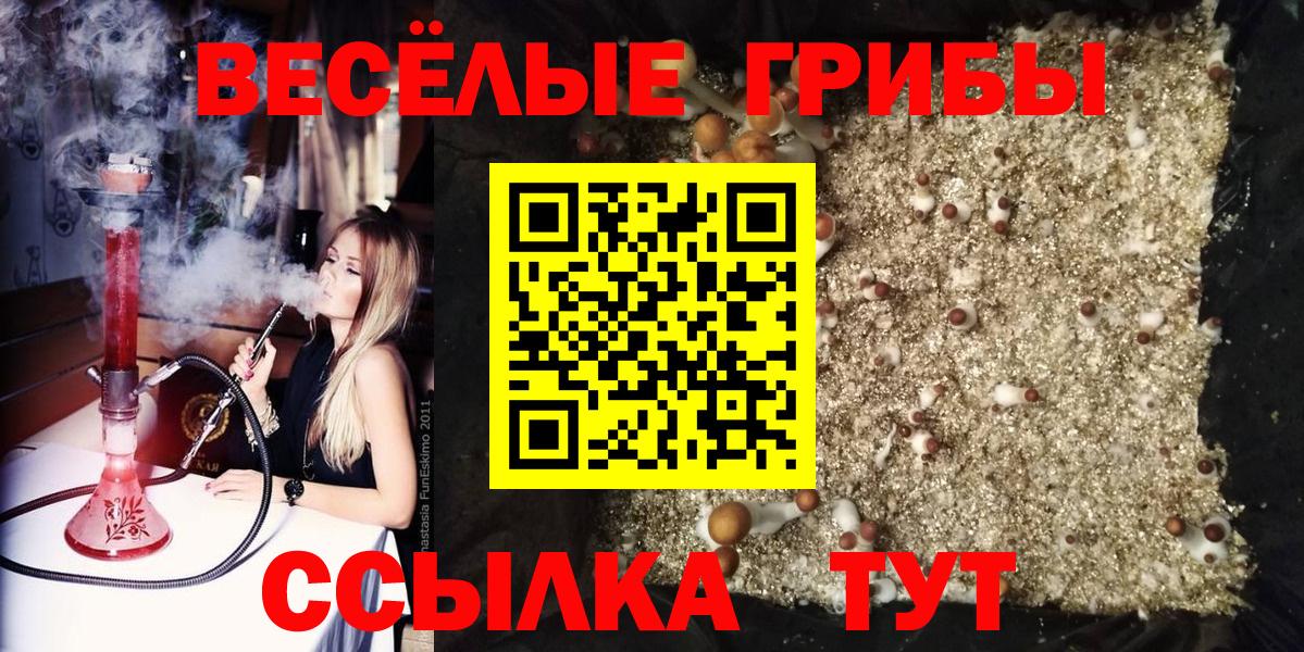 Галлюциногенные грибы мухоморы  Грязи  Галлюциногенные грибы Psilocybine cubensis 