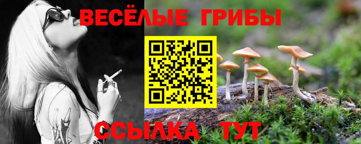 Грязи  Галлюциногенные грибы прущие грибы  Вход с VPN 